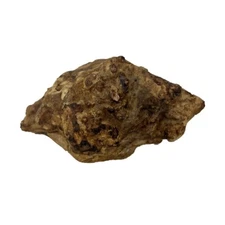 Beautiful Chechen Burl Cap 15" x 11" x 4", 8 lbs #504