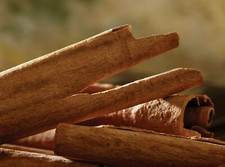 Dried High Quality Pure ALBA Organic Ceylon CINNAMON Sticks Natural SriLanka