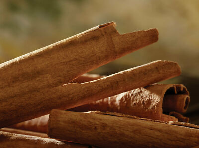 Dried High Quality Pure ALBA Organic Ceylon CINNAMON Sticks Natural SriLanka