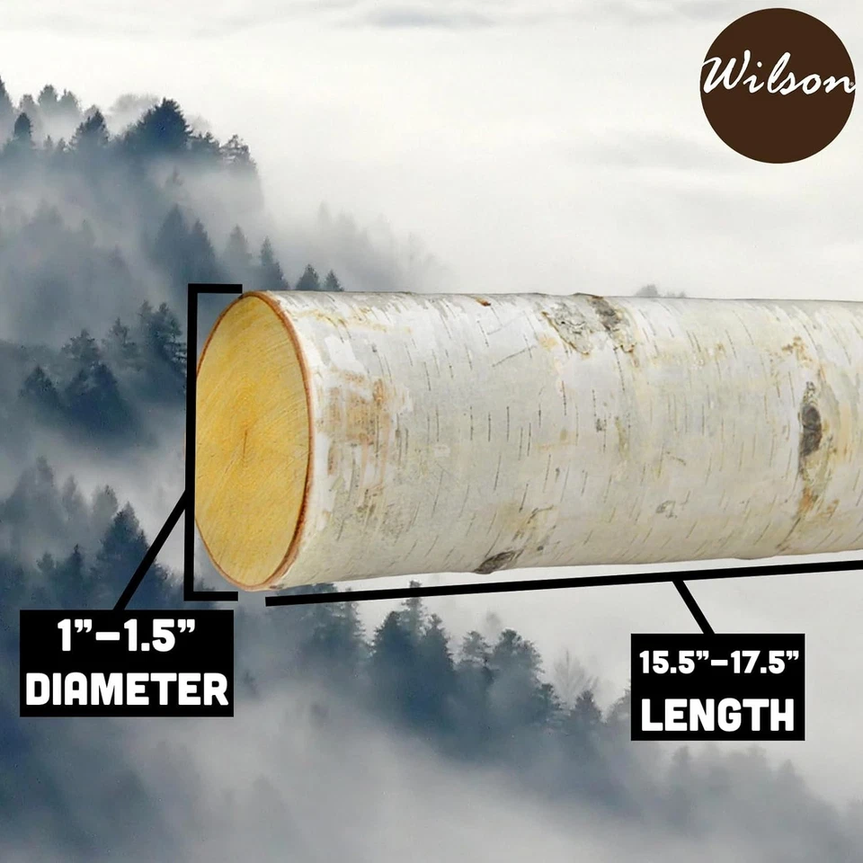 Troncos de abedul blanco rústicos decoración del hogar 12 piezas Foto 4 de 4