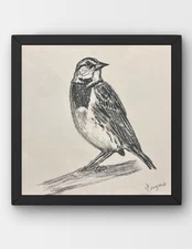GUAJARDO Original Sketch Bird Study-2 10X10 Paper Signed Art