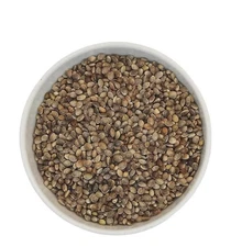 Organic Hemp Seeds