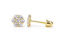 14k Yellow Gold Flower Stud Earrings with Screw Back