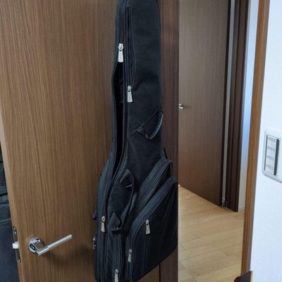 Ibanez RG870RWZ Premium | eBay