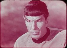 Star Trek TOS 35mm Film Clip Shore Leave SPOCK Leonard Nimoy 1.15.191