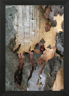 Baumrinde Textur Abstrakt Gerahmt Wandbild Poster Leinwanddruck Bild
