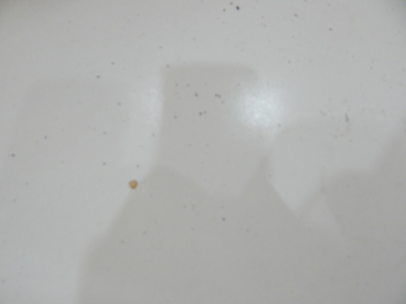 KIA SEDONA 3.8L 06 07 08 09 10 11 12 TRANSMISSION FLUID DIP STICK