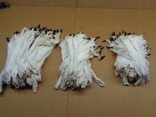 #2 Quality Tanned Ermine with full Tail/Weasel/Fur/Crafts/Stocking Stuffers