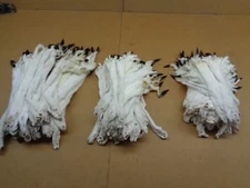 #2 Quality Tanned Ermine with full Tail/Weasel/Fur/Crafts/Stocking Stuffers