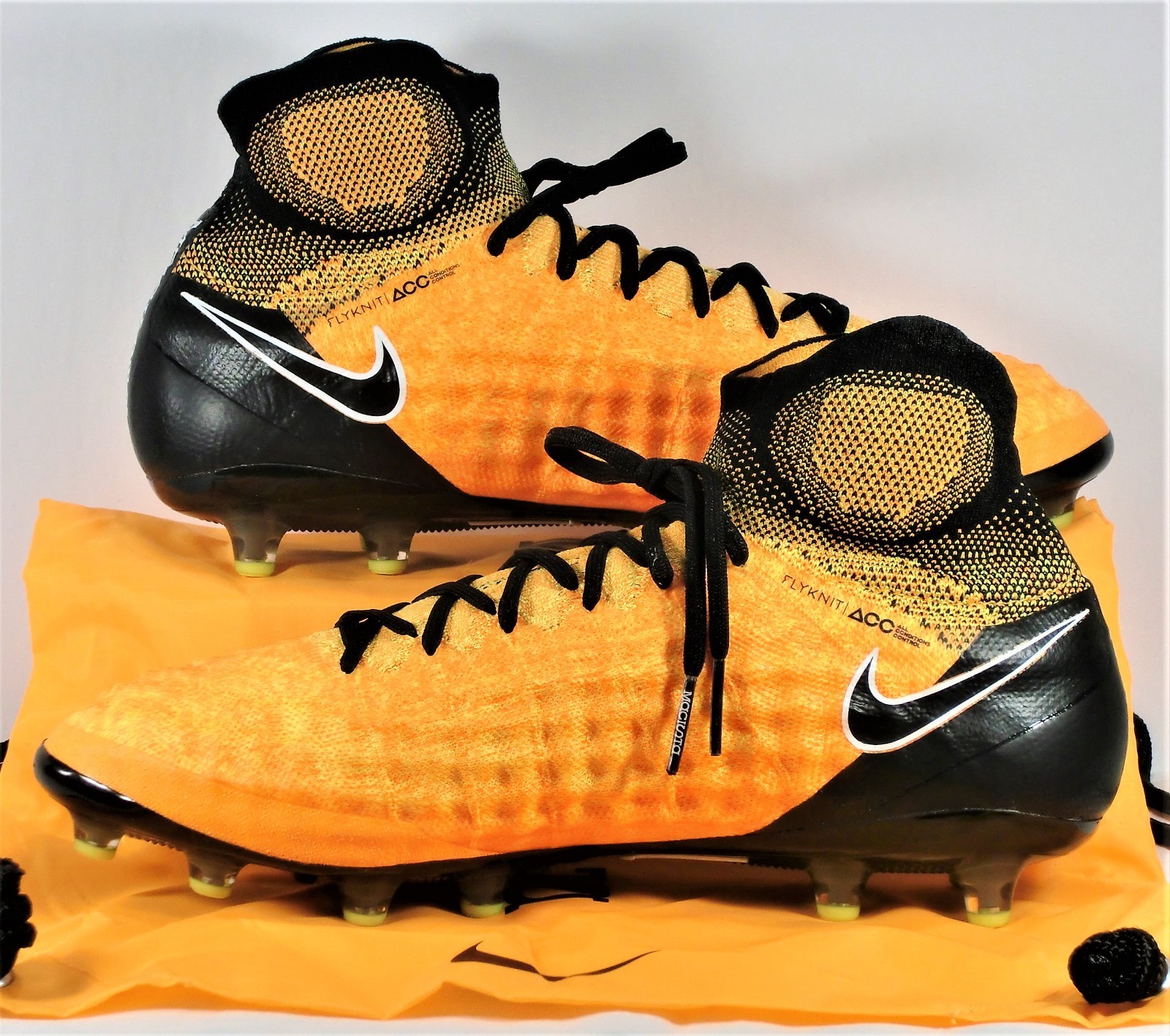 botin magista