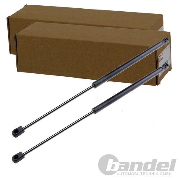 2X NTY Gasfedern KOFFERRAUM-LIFTER Passend FüR Seat Ibiza | AE-SE-001-image