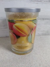 19oz Jar Candle MANGO SORBET - Home Scents by Chesapeake Bay Candle