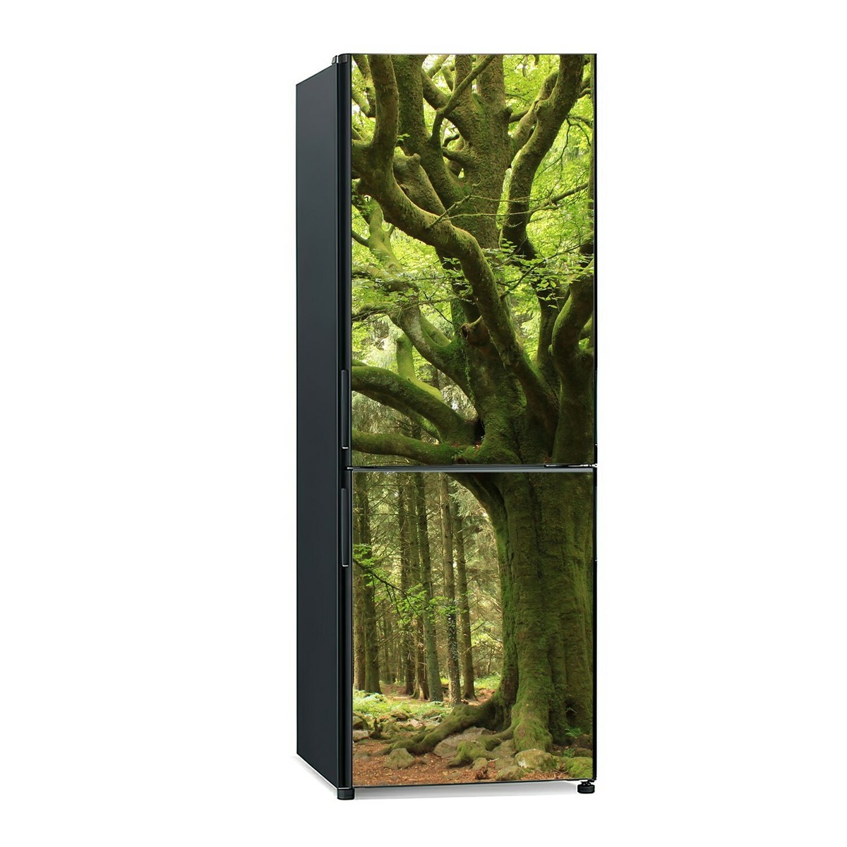 Kühlschrank Aufkleber Grün Wald - 3D Vinyl Folie 60x180cm Selbstklebend