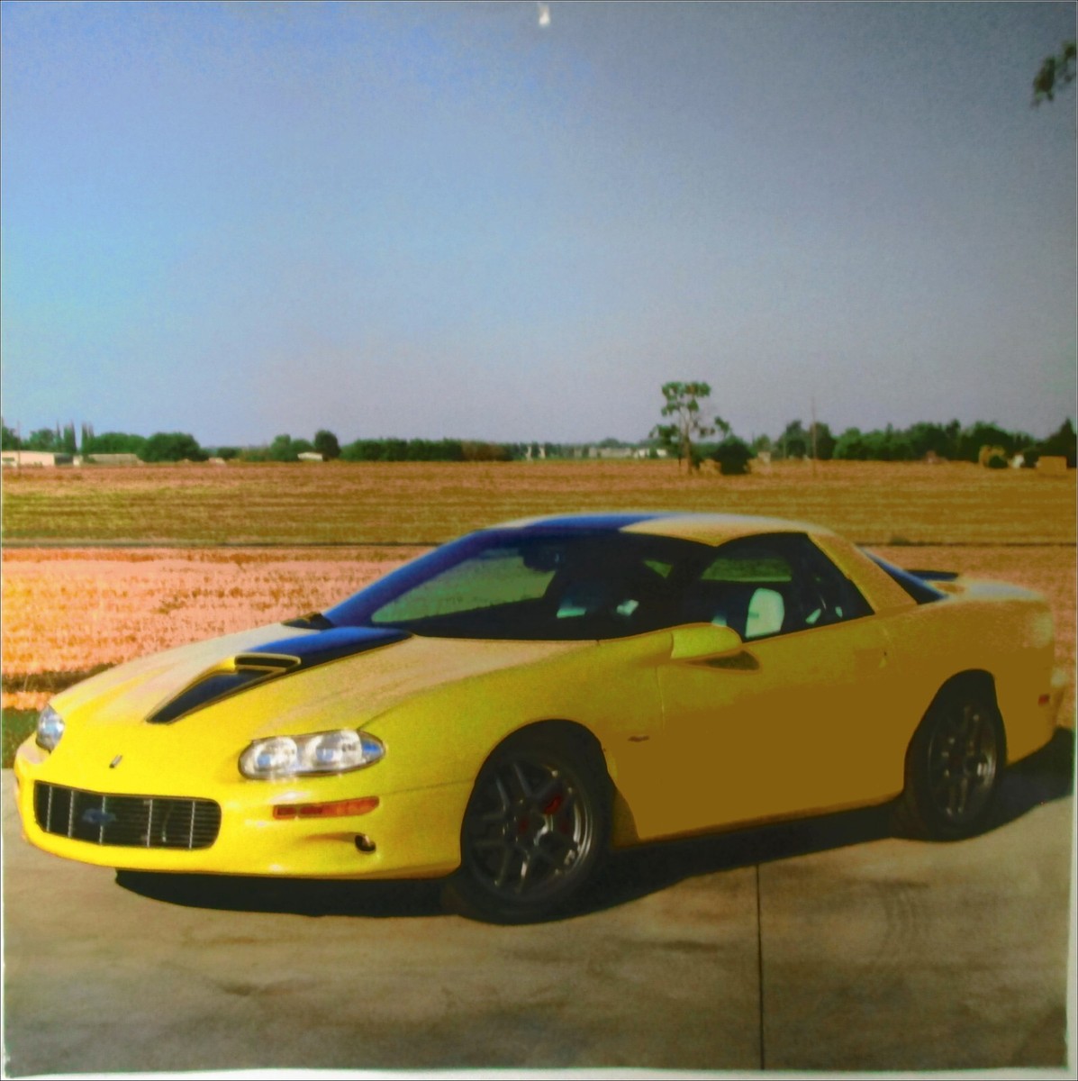 gold calendar 2002 午 純金カレンダー 「ゴールドカレンダー2026」 -- Fine Gold Card --