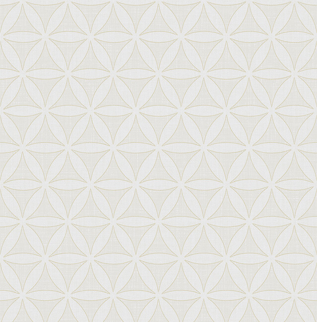 Foto 1 di 5