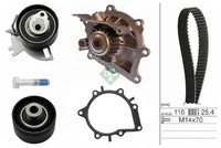 INA Wasserpumpe + Zahnriemensatz 530 0691 30 FüR CitroËN DS Ford Ford USA Opel