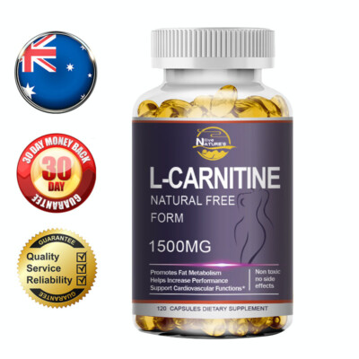 acetyl l carnitine vs l carnitine reddit Acetyl L-Carnitine Vs L-Carnitine Explained  Australian Sports Nutrition