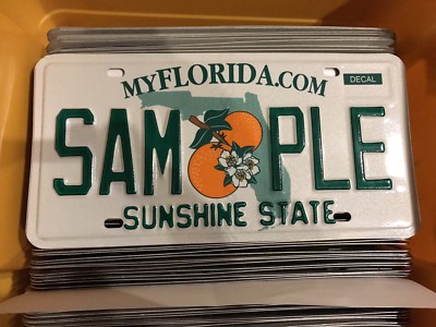 Nummernschild USA Florida SAMPLE Standard #3 RAR Specialtag License Plate