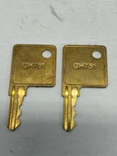 GILBARCO CH751 CRIND DOOR KEYS…. GENUINE OEM …NEW-Set of two!