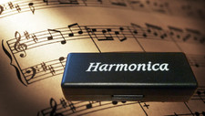 10-Hole Gold Chromatic Harmonica for Beginners