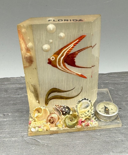 Souvenir Florida Lucite Carved & Painted Angel Fish Compass 2.5”  paperweight