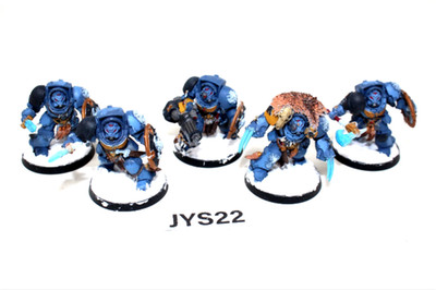 Warhammer Space Wolves Wolf Guard Terminators JYS22