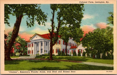 #ad Lexington KY Calumet Farm Citation Bred and Raised Here Postcard Unposted $6.39