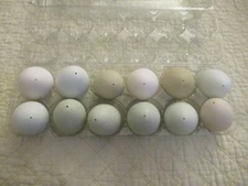 Chicken Eggs - Empty Real Blown Eggs Multiple Colors Crafts Easter - 12 Eggs