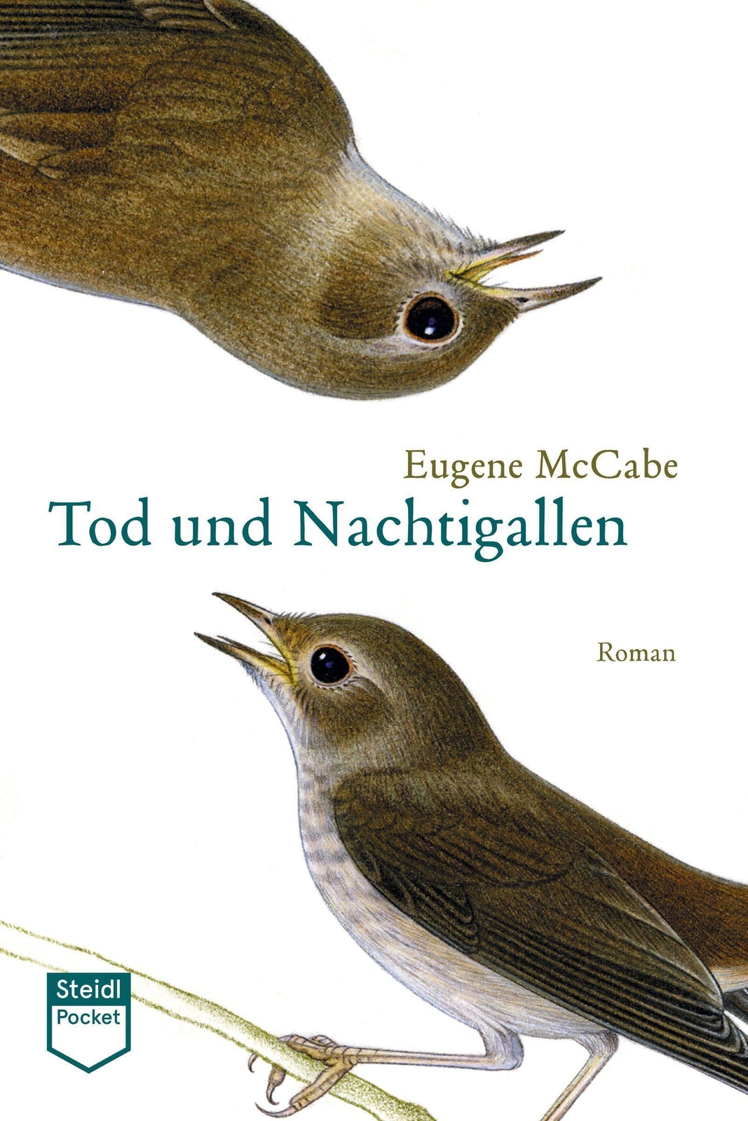 Tod Und Nachtigallen (steidl Pocket) | Eugene Mccabe | Deutsch |