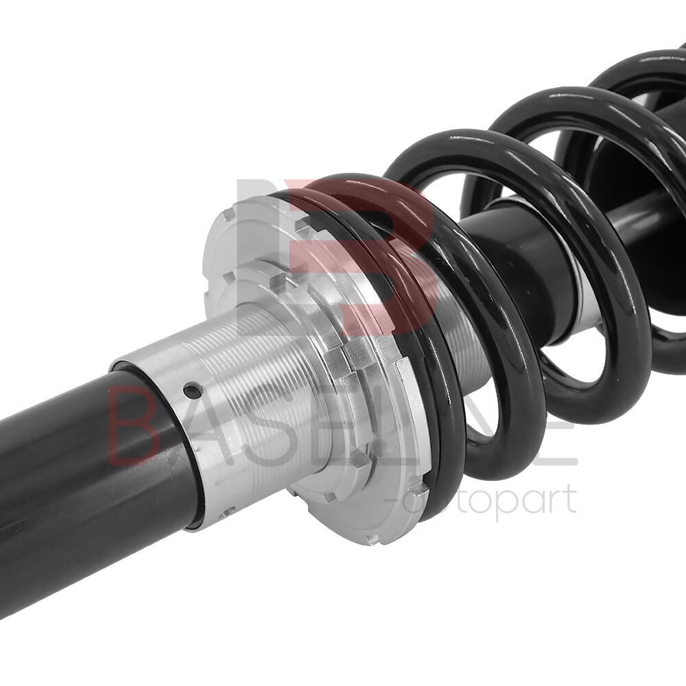 Ferrari 458 2010-2014 Rear Left, right Dampers Pair P/N 31316779984
