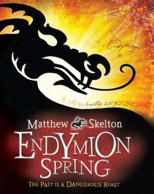Endymion Spring : Die Macht des Geheimen Buches Paperback Matthew