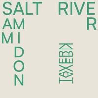Vinile - Sam Amidon - Salt River - River Lea Recordings -D- Neu