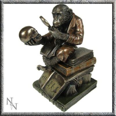 Bronze Optik Darwin Affe Statue Skulptur Ornament Figur Geschenk