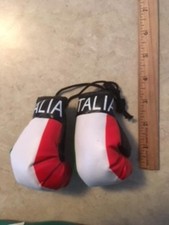 italian boxing gloves for car