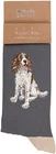Wrendale Designs Men's Bamboo Size 6-11 Socks : Springer Spaniel Willow
