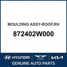 2013-2018 Hyundai Santa Fe Sport Moulding Assembly-roof Oem New 872402w000