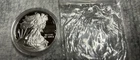 2024 American  Silver Eagle Coin Walking Liberty 1 oz .999 Fine Silver w/ Case