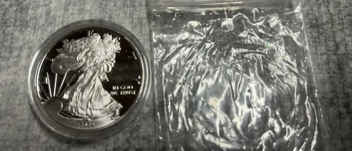 2024 American  Silver Eagle Coin Walking Liberty 1 oz .999 Fine Silver w/ Case