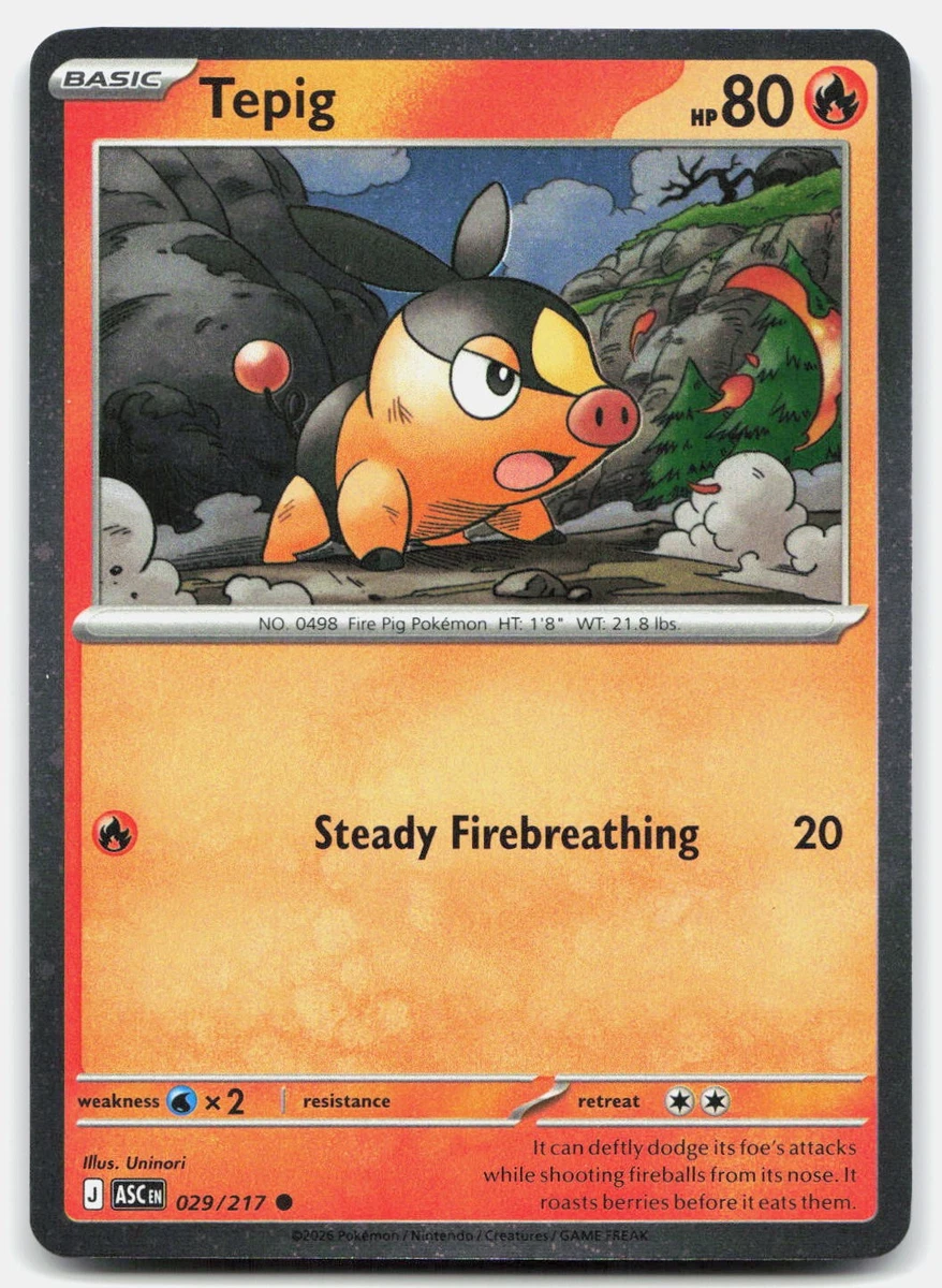 Pokmon Tepig Individual Trading Cards for sale | eBay