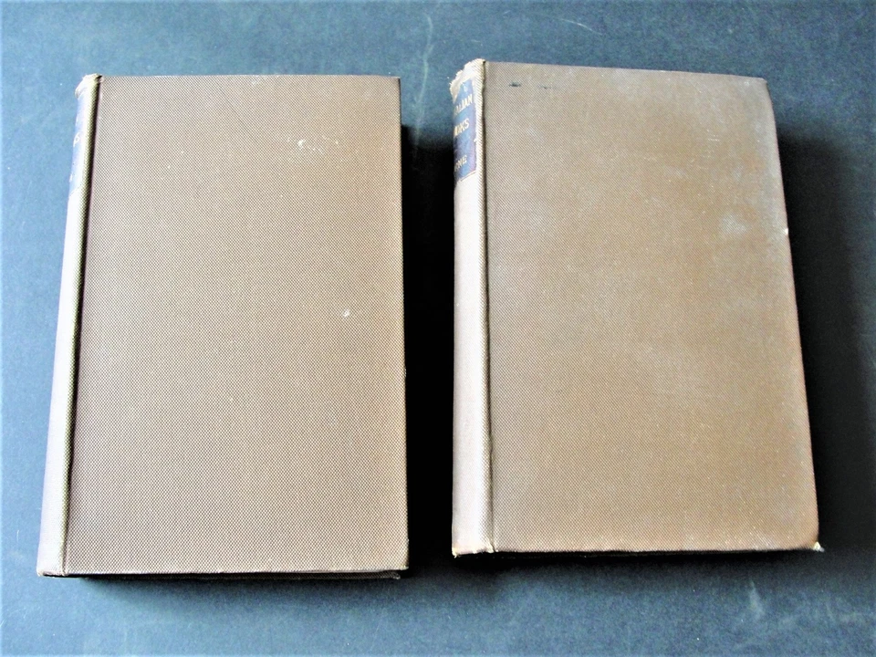 1884 Set of 2 Books- Riverside Edition-Works of Nathaniel Hawthorne-Vol. IX & X. Foto 2 de 4