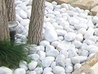 Foto 1 di 3