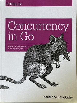 Concurrency in Go: Tools and Techniques for Developers, Taschenb. Englisch, 2017