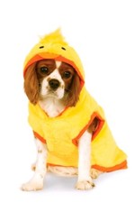 Rubie's Costume Co Duck Hoodie Pet Costume Medium NEW Cute Dog and Cat Costum