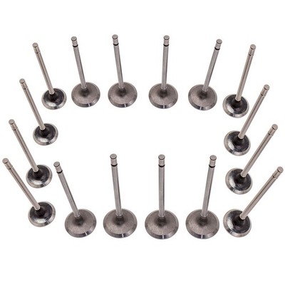 16x Einlassventil & Auslassventil for Renault Clio Kangoo Megane Laguna Scenico