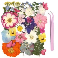 35Pcs Dried Pressed Flowers for Crafts and 40Pcs Butterfly Stickers, 75pcs 33