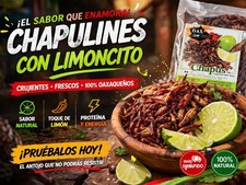 90 GR CHAPULINAS FRESCAS CON LIMONCITO 🍋‍🟩 (saltamontes con cal) de OAXACA