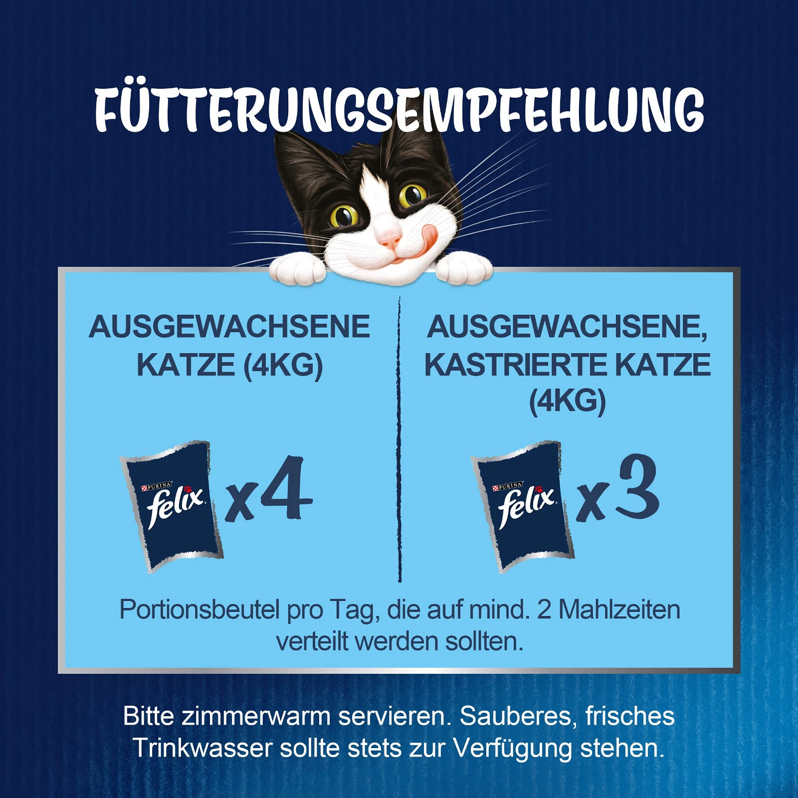 Bild 8 von 8