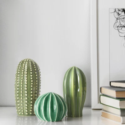 Cactaceae Composite Potted Plant 702 453 77 Reviews Price Where To Buy