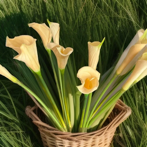 12 PCS Artificial Real Touch Faux Calla Lily Ivory Flowers 25’’