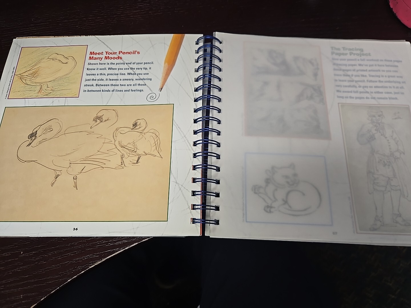 A Book of Artrageous Projects Interactive Kids Activity Art Paint Sticker KLUTZ